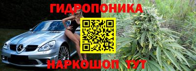 прущие крисы Лесосибирск