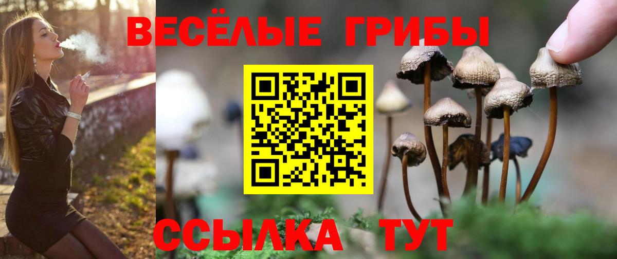 Шахты  Псилоцибиновые грибы мицелий  Вход с VPN 
